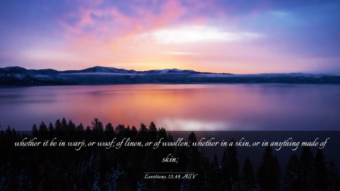 Picture 03 - Leviticus 13:48 ASV Desktop Wallpaper - whether it be in warp, or woof; of linen, or of - Desktop Bible Verse Wallpaper