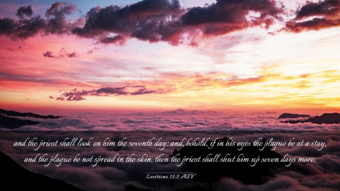 Picture 03 - Leviticus 13:5 ASV Desktop Wallpaper - and the priest shall look on him the seventh day: - Desktop Bible Verse Wallpaper