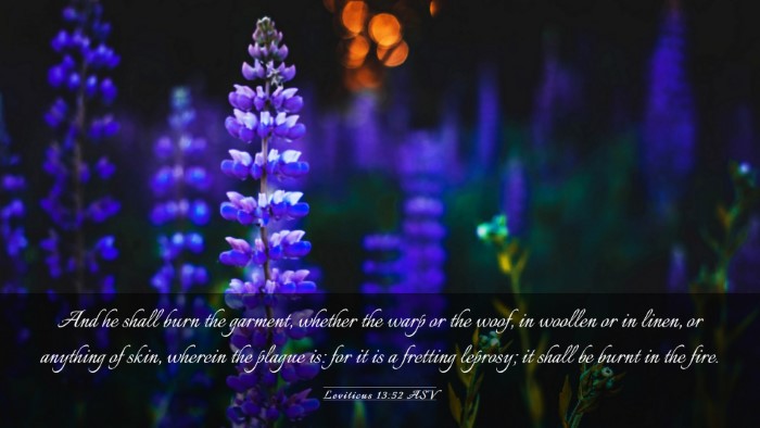 Picture 03 - Leviticus 13:52 ASV Desktop Wallpaper - And he shall burn the garment, whether the warp - Desktop Bible Verse Wallpaper