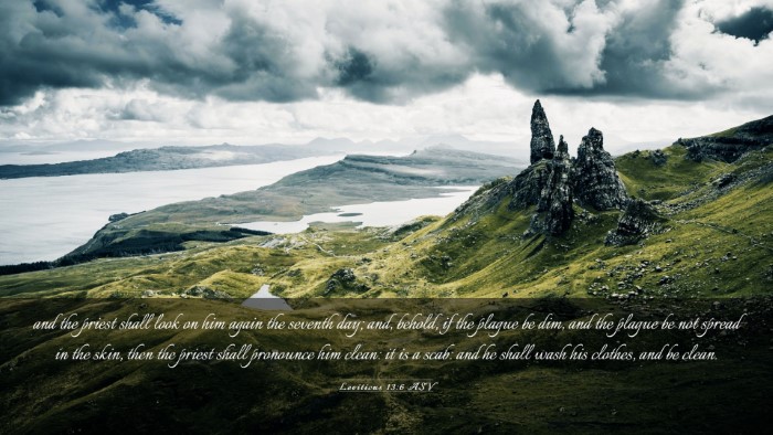 Picture 03 - Leviticus 13:6 ASV Desktop Wallpaper - and the priest shall look on him again the - Desktop Bible Verse Wallpaper
