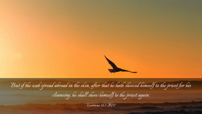 Picture 03 - Leviticus 13:7 ASV Desktop Wallpaper - But if the scab spread abroad in the skin, after - Desktop Bible Verse Wallpaper