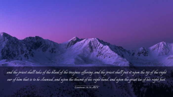 Picture 03 - Leviticus 14:14 ASV Desktop Wallpaper - and the priest shall take of the blood of the - Desktop Bible Verse Wallpaper