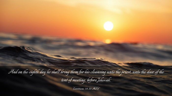 Picture 03 - Leviticus 14:23 ASV Desktop Wallpaper - And on the eighth day he shall bring them for his - Desktop Bible Verse Wallpaper