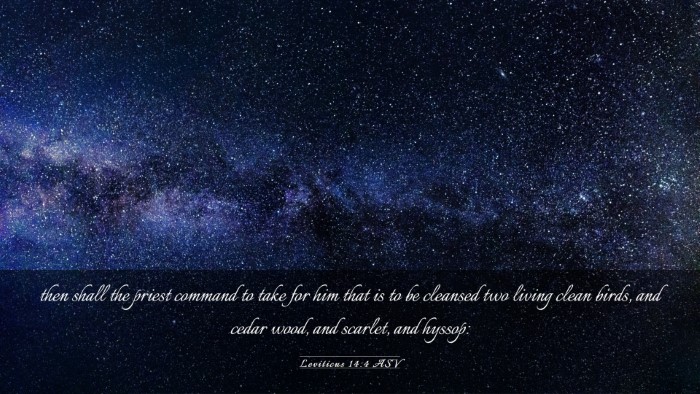 Picture 03 - Leviticus 14:4 ASV Desktop Wallpaper - then shall the priest command to take for him - Desktop Bible Verse Wallpaper