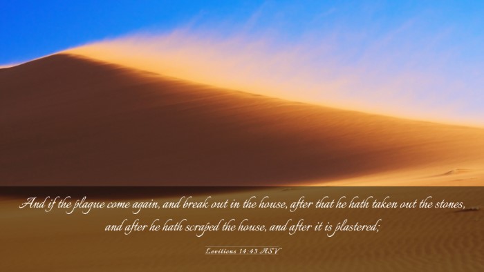 Picture 03 - Leviticus 14:43 ASV Desktop Wallpaper - And if the plague come again, and break out in - Desktop Bible Verse Wallpaper