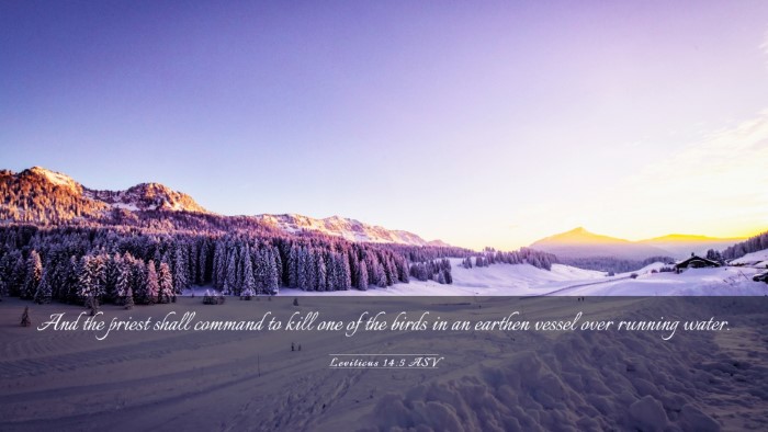 Picture 03 - Leviticus 14:5 ASV Desktop Wallpaper - And the priest shall command to kill one of the - Desktop Bible Verse Wallpaper