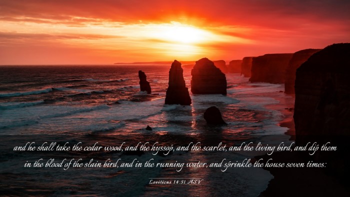 Picture 03 - Leviticus 14:51 ASV Desktop Wallpaper - and he shall take the cedar wood, and the hyssop, - Desktop Bible Verse Wallpaper