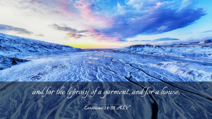 Picture 03 - Leviticus 14:55 ASV Desktop Wallpaper - and for the leprosy of a garment, and for a - Desktop Bible Verse Wallpaper