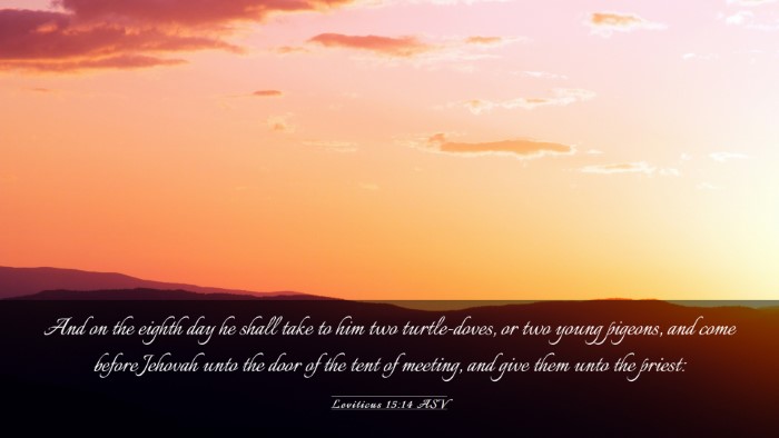 Picture 03 - Leviticus 15:14 ASV Desktop Wallpaper - And on the eighth day he shall take to him two - Desktop Bible Verse Wallpaper