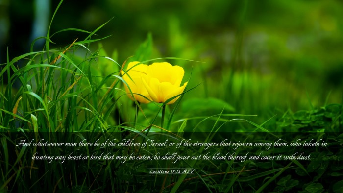 Picture 03 - Leviticus 17:13 ASV Desktop Wallpaper - And whatsoever man there be of the children of - Desktop Bible Verse Wallpaper