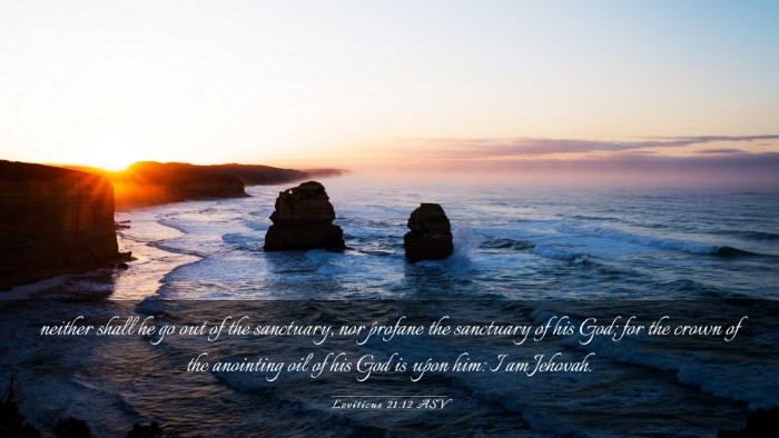 Picture 03 - Leviticus 21:12 ASV Desktop Wallpaper - neither shall he go out of the sanctuary, nor - Desktop Bible Verse Wallpaper
