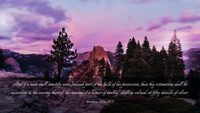 Picture 03 - Leviticus 27:16 ASV Desktop Wallpaper - And if a man shall sanctify unto Jehovah part of - Desktop Bible Verse Wallpaper