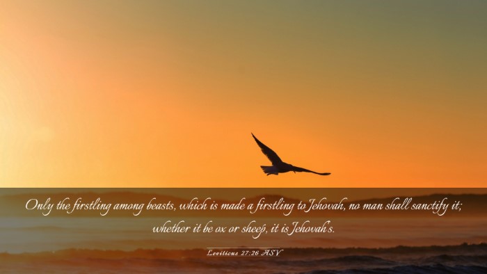 Picture 03 - Leviticus 27:26 ASV Desktop Wallpaper - Only the firstling among beasts, which is made a - Desktop Bible Verse Wallpaper