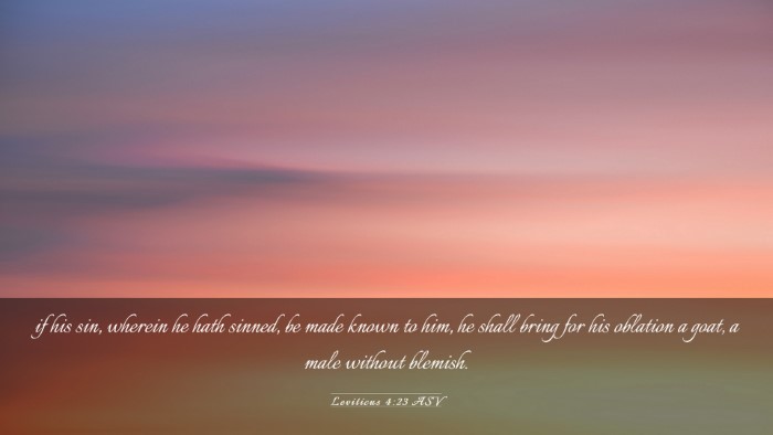 Picture 03 - Leviticus 4:23 ASV Desktop Wallpaper - if his sin, wherein he hath sinned, be made known - Desktop Bible Verse Wallpaper