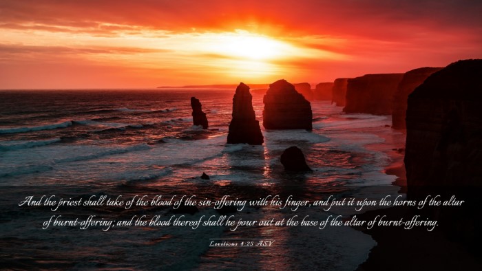 Picture 03 - Leviticus 4:25 ASV Desktop Wallpaper - And the priest shall take of the blood of the - Desktop Bible Verse Wallpaper