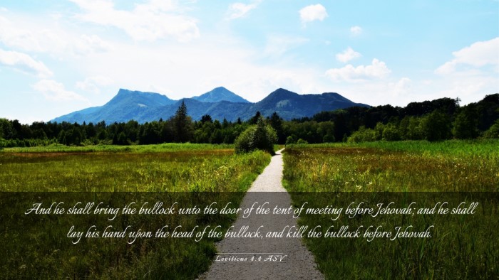 Picture 03 - Leviticus 4:4 ASV Desktop Wallpaper - And he shall bring the bullock unto the door of - Desktop Bible Verse Wallpaper