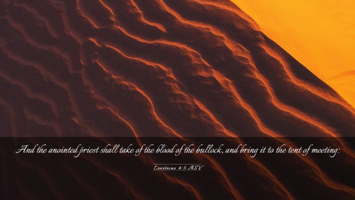 Picture 03 - Leviticus 4:5 ASV Desktop Wallpaper - And the anointed priest shall take of the blood - Desktop Bible Verse Wallpaper
