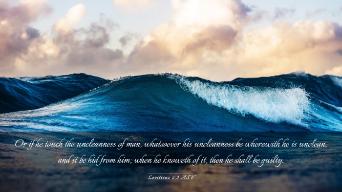 Picture 03 - Leviticus 5:3 ASV Desktop Wallpaper - Or if he touch the uncleanness of man, whatsoever - Desktop Bible Verse Wallpaper
