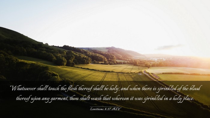 Picture 03 - Leviticus 6:27 ASV Desktop Wallpaper - Whatsoever shall touch the flesh thereof shall be - Desktop Bible Verse Wallpaper