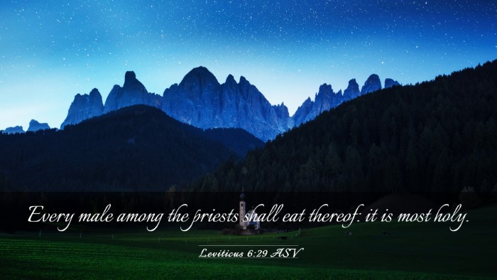 Picture 03 - Leviticus 6:29 ASV Desktop Wallpaper - Every male among the priests shall eat thereof: - Desktop Bible Verse Wallpaper