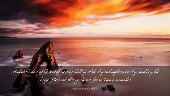 Picture 03 - Leviticus 8:35 ASV Desktop Wallpaper - And at the door of the tent of meeting shall ye - Desktop Bible Verse Wallpaper