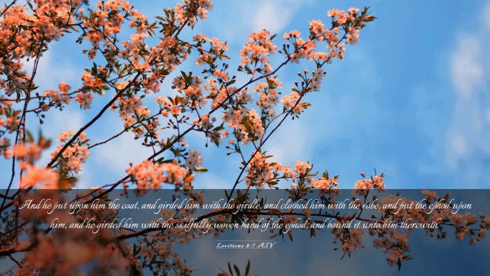 Picture 03 - Leviticus 8:7 ASV Desktop Wallpaper - And he put upon him the coat, and girded him with - Desktop Bible Verse Wallpaper
