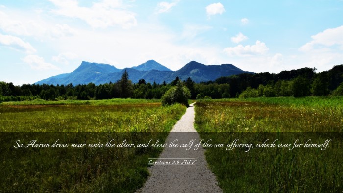 Picture 03 - Leviticus 9:8 ASV Desktop Wallpaper - So Aaron drew near unto the altar, and slew the - Desktop Bible Verse Wallpaper