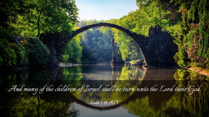 Picture 03 - Luke 1:16 ASV Desktop Wallpaper - And many of the children of Israel shall be turn - Desktop Bible Verse Wallpaper