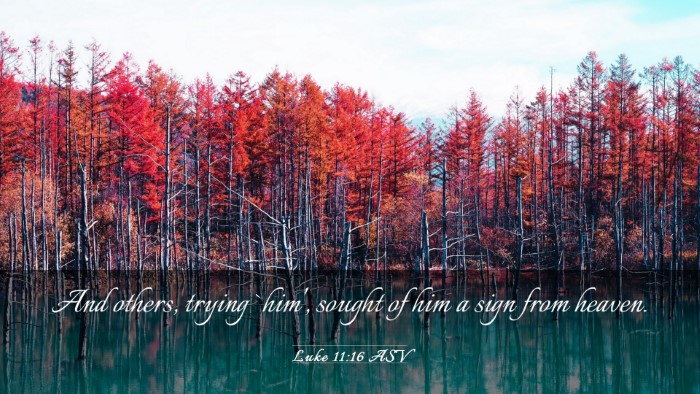 Picture 03 - Luke 11:16 ASV Desktop Wallpaper - And others, trying `him', sought of him a sign - Desktop Bible Verse Wallpaper