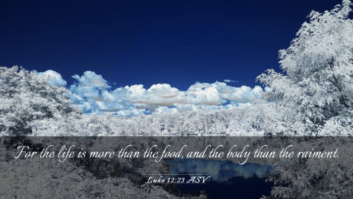 Picture 03 - Luke 12:23 ASV Desktop Wallpaper - For the life is more than the food, and the body - Desktop Bible Verse Wallpaper