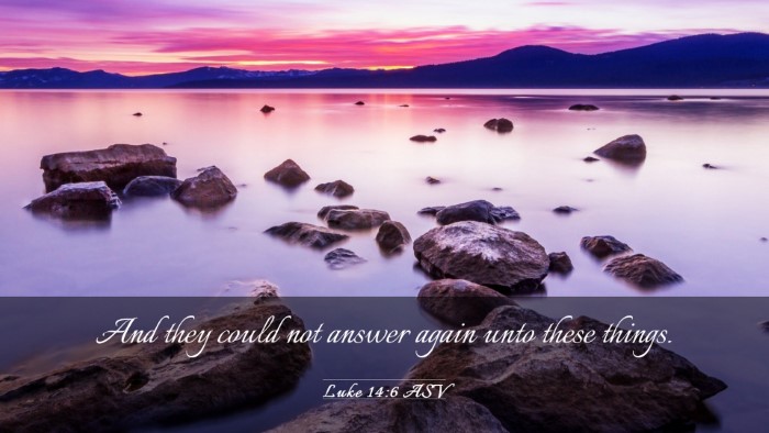 Picture 03 - Luke 14:6 ASV Desktop Wallpaper - And they could not answer again unto these - Desktop Bible Verse Wallpaper
