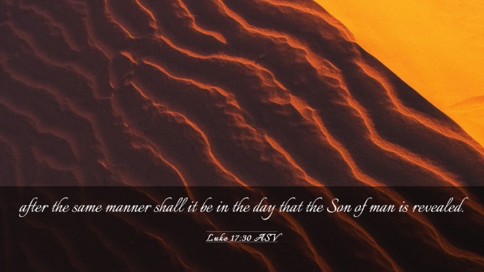 Picture 03 - Luke 17:30 ASV Desktop Wallpaper - after the same manner shall it be in the day that - Desktop Bible Verse Wallpaper