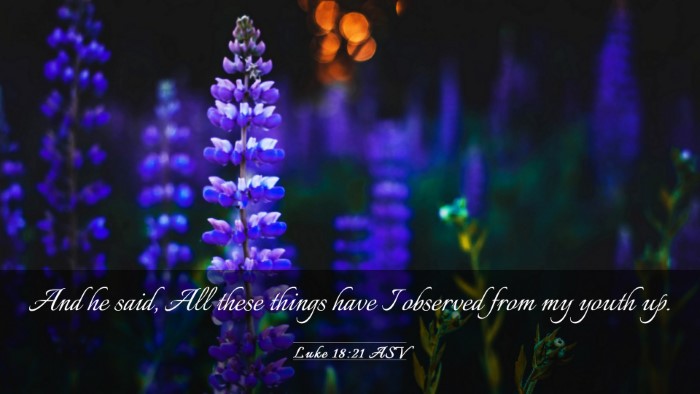 Picture 03 - Luke 18:21 ASV Desktop Wallpaper - And he said, All these things have I observed - Desktop Bible Verse Wallpaper