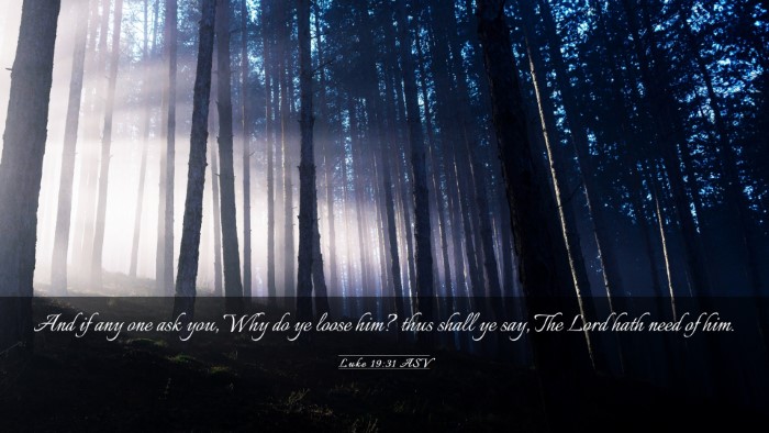 Picture 03 - Luke 19:31 ASV Desktop Wallpaper - And if any one ask you, Why do ye loose him? thus - Desktop Bible Verse Wallpaper