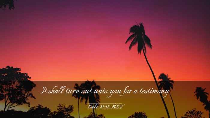 Picture 03 - Luke 21:13 ASV Desktop Wallpaper - It shall turn out unto you for a - Desktop Bible Verse Wallpaper