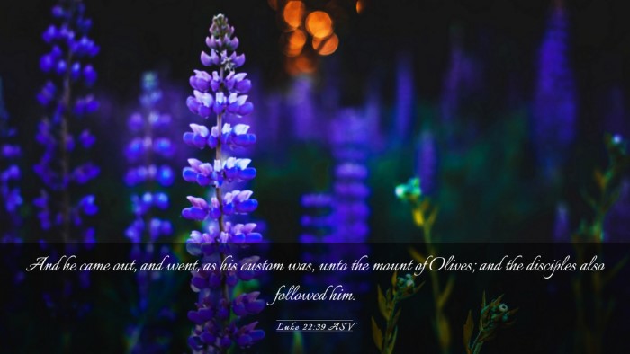 Picture 03 - Luke 22:39 ASV Desktop Wallpaper - And he came out, and went, as his custom was, - Desktop Bible Verse Wallpaper