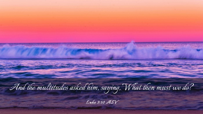 Picture 03 - Luke 3:10 ASV Desktop Wallpaper - And the multitudes asked him, saying, What then - Desktop Bible Verse Wallpaper