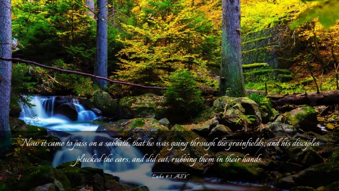 Picture 03 - Luke 6:1 ASV Desktop Wallpaper - Now it came to pass on a sabbath, that he was - Desktop Bible Verse Wallpaper