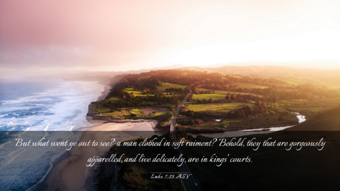 Picture 03 - Luke 7:25 ASV Desktop Wallpaper - But what went ye out to see? a man clothed in - Desktop Bible Verse Wallpaper