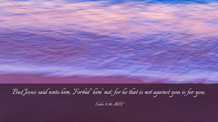 Picture 03 - Luke 9:50 ASV Desktop Wallpaper - But Jesus said unto him, Forbid `him' not: for he - Desktop Bible Verse Wallpaper