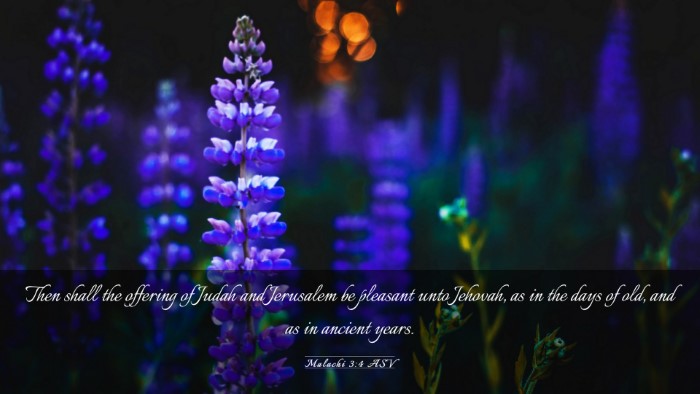 Picture 03 - Malachi 3:4 ASV Desktop Wallpaper - Then shall the offering of Judah and Jerusalem be - Desktop Bible Verse Wallpaper