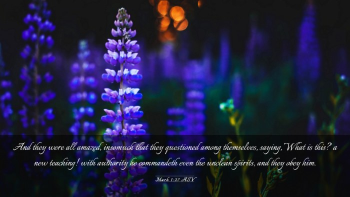 Picture 03 - Mark 1:27 ASV Desktop Wallpaper - And they were all amazed, insomuch that they - Desktop Bible Verse Wallpaper