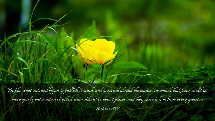 Picture 03 - Mark 1:45 ASV Desktop Wallpaper - But he went out, and began to publish it much, - Desktop Bible Verse Wallpaper