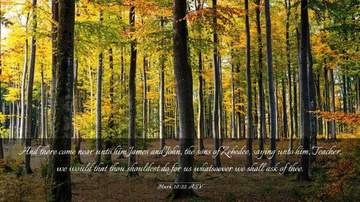 Picture 03 - Mark 10:35 ASV Desktop Wallpaper - And there come near unto him James and John, the - Desktop Bible Verse Wallpaper