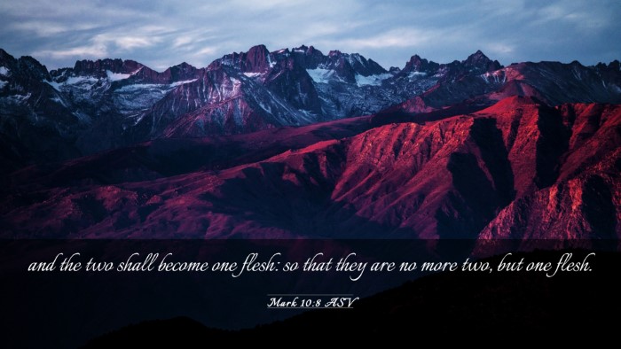 Picture 03 - Mark 10:8 ASV Desktop Wallpaper - and the two shall become one flesh: so that they - Desktop Bible Verse Wallpaper