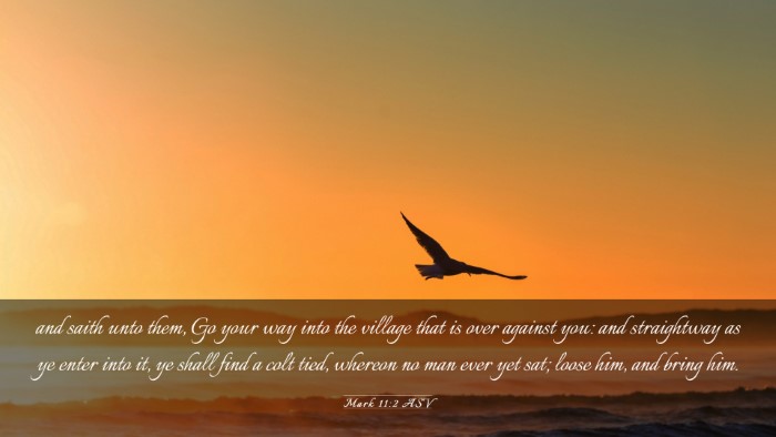 Picture 03 - Mark 11:2 ASV Desktop Wallpaper - and saith unto them, Go your way into the village - Desktop Bible Verse Wallpaper