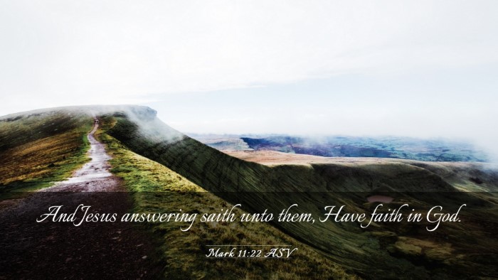 Picture 03 - Mark 11:22 ASV Desktop Wallpaper - And Jesus answering saith unto them, Have faith - Desktop Bible Verse Wallpaper