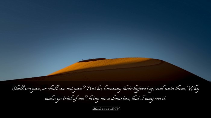 Picture 03 - Mark 12:15 ASV Desktop Wallpaper - Shall we give, or shall we not give? But he, - Desktop Bible Verse Wallpaper