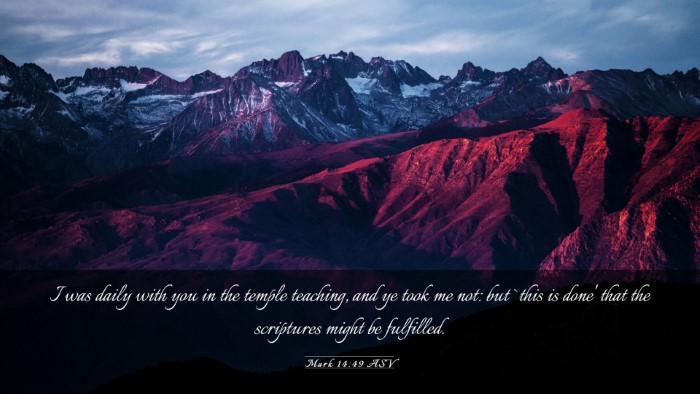Picture 03 - Mark 14:49 ASV Desktop Wallpaper - I was daily with you in the temple teaching, and - Desktop Bible Verse Wallpaper