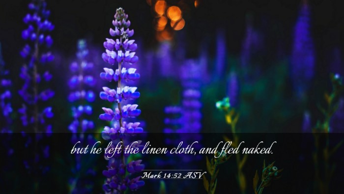 Picture 03 - Mark 14:52 ASV Desktop Wallpaper - but he left the linen cloth, and fled - Desktop Bible Verse Wallpaper